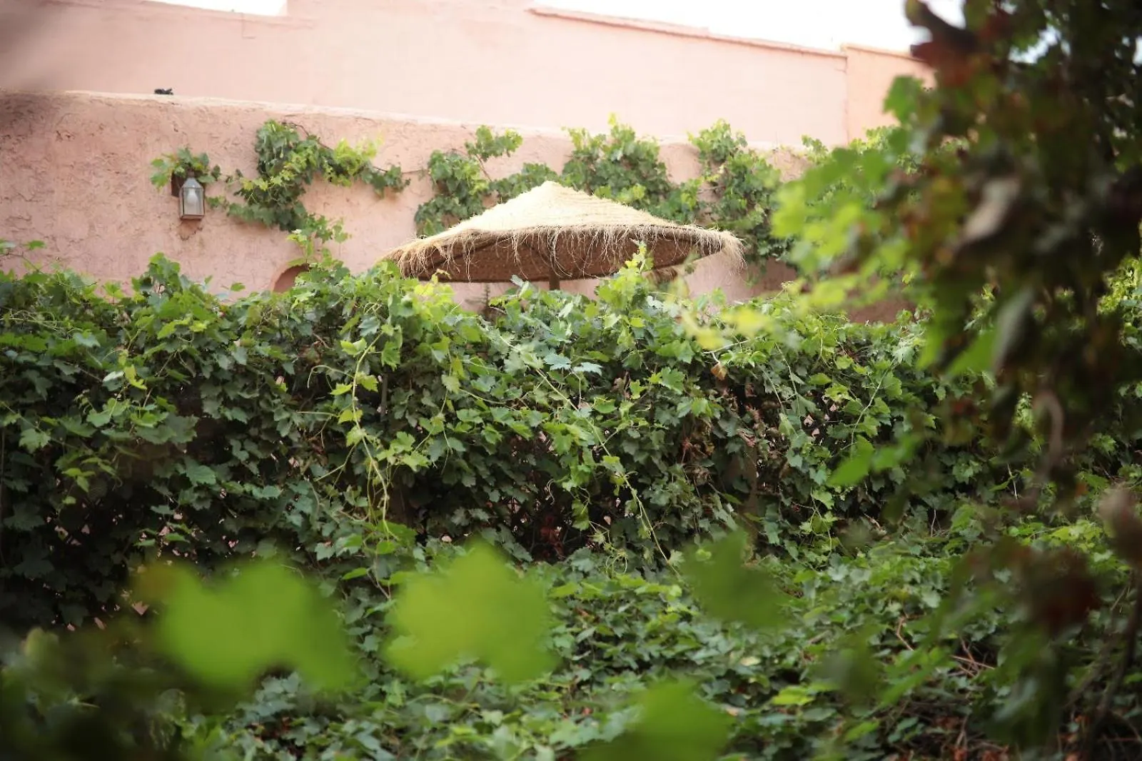 Traditional House Marrakesh Morocco