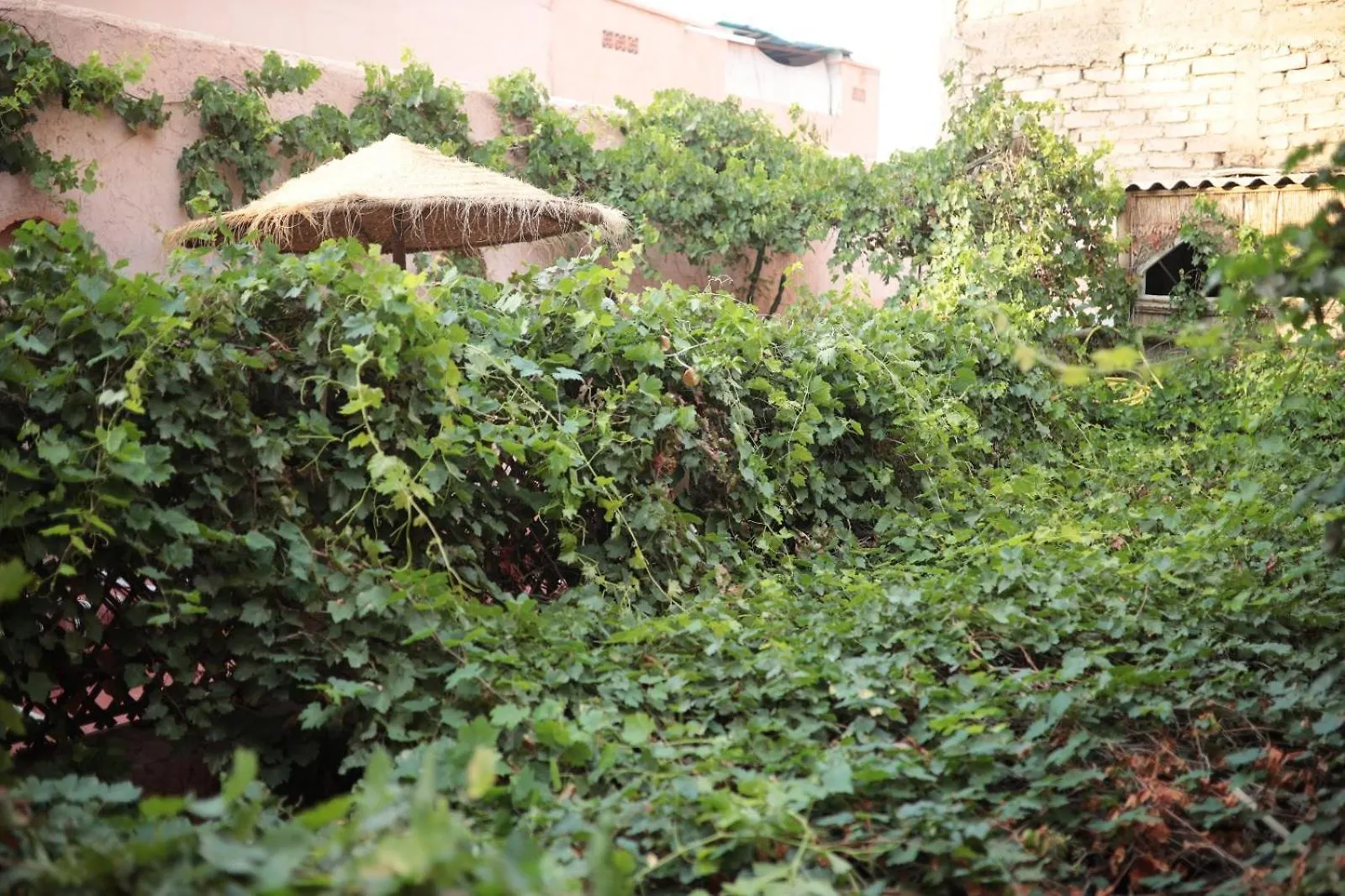 Traditional House Marrakesh 0*,